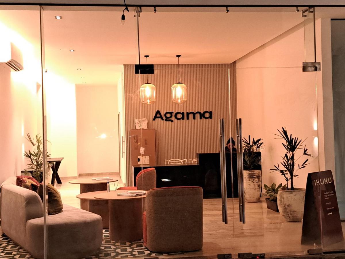 Agama Condos Playa del Carmen Exteriör bild